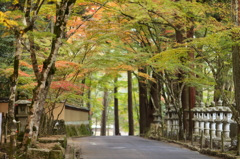 仏通寺(2013) No. 001(rev)
