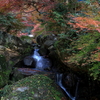 三郎の滝 (3) 241128-310