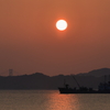 瀬戸内の朝 (1) 250122-717