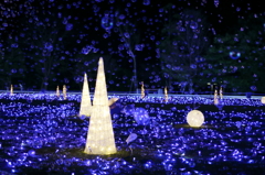 Winter Illumination (3) 15.12.14