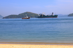 須波海浜公園 (2) 250501-559