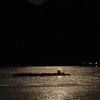 光る海 250513-954