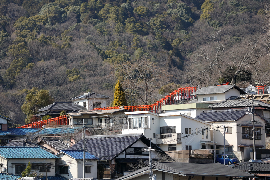 大島神社大鳥居　210222-702