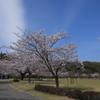 バンブージョイハイランド(2) 200407-016