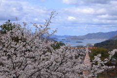 千光寺 (3) 250403-039