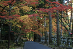 佛通寺(2) 211111-389