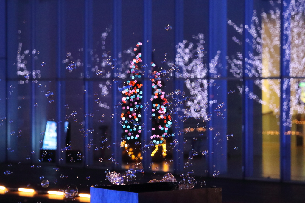 Winter Illumination(7) 16.11.30