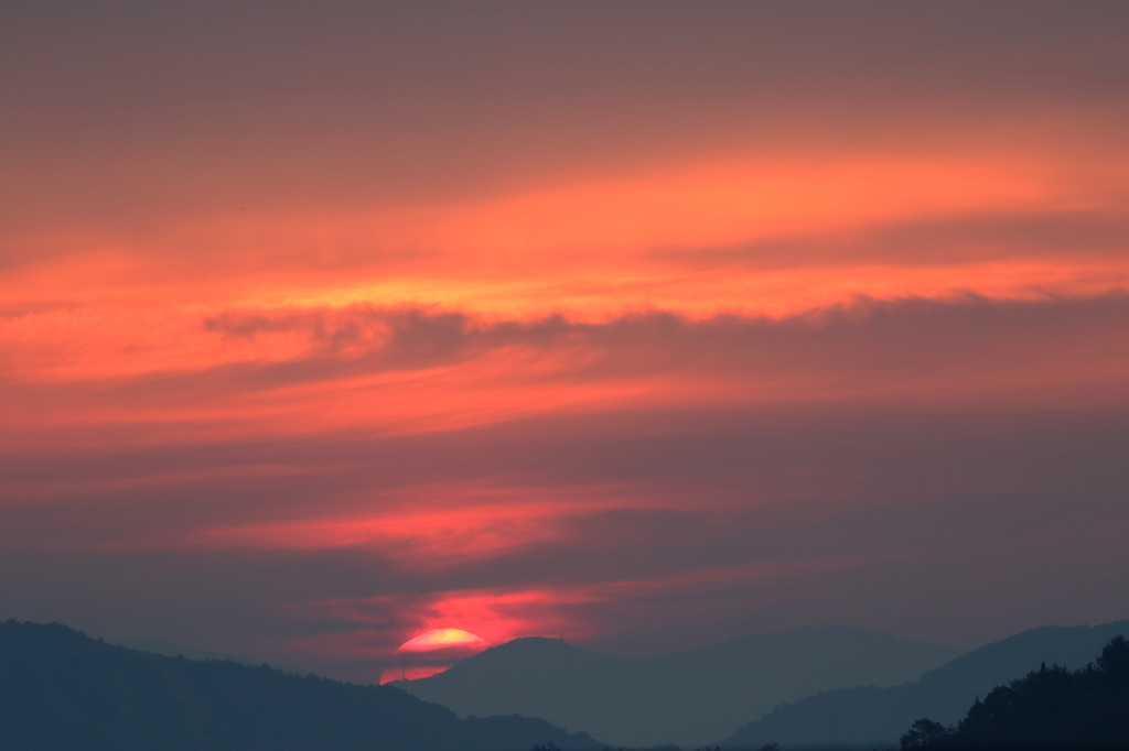 日の出 (1) 15.05.03