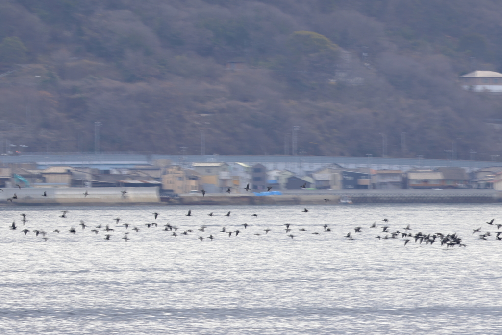 みんな行くぞ！　240126-408