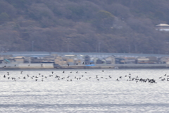 みんな行くぞ！　240126-408