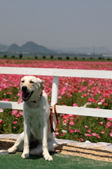 ぼくも記念写真！ 16.05.20
