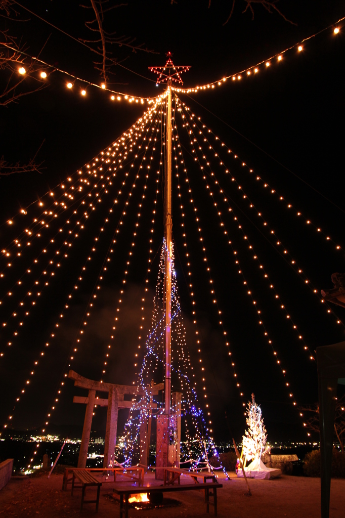 イノセントツリー 2011.12.11