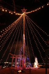 イノセントツリー 2011.12.11