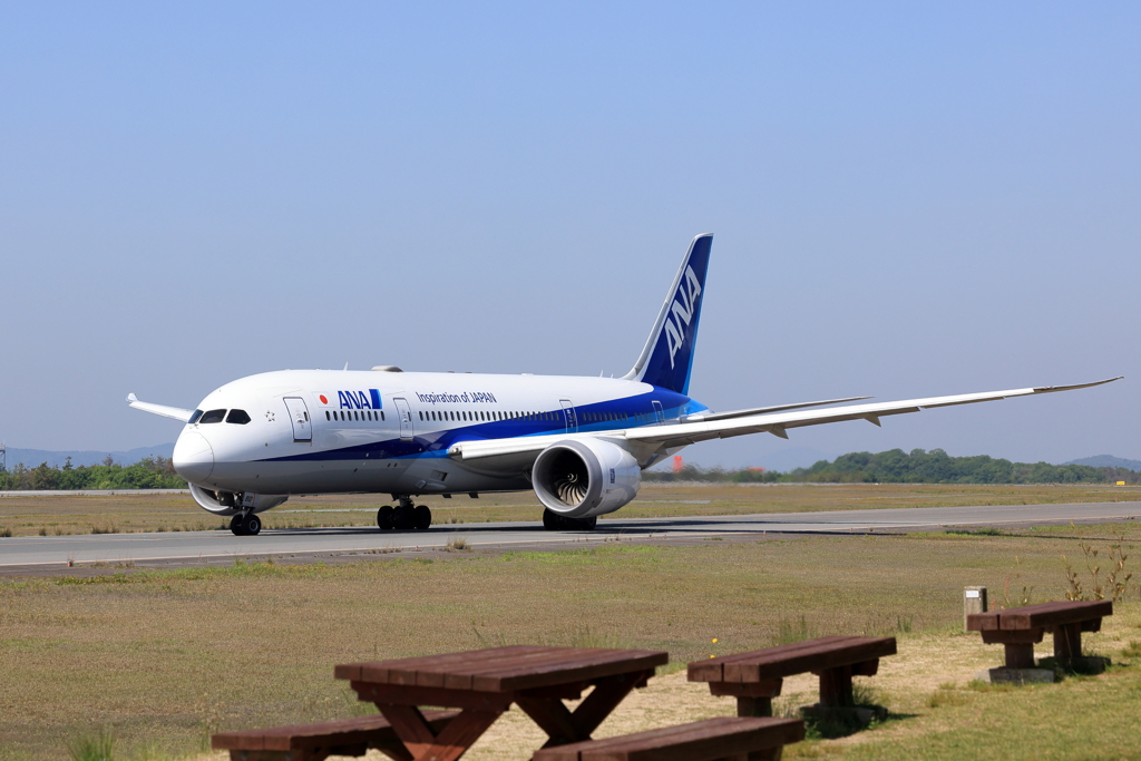 ANA (1) 250513-695
