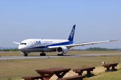 ANA (1) 250513-695