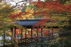 佛通寺紅葉(1) 201110-315