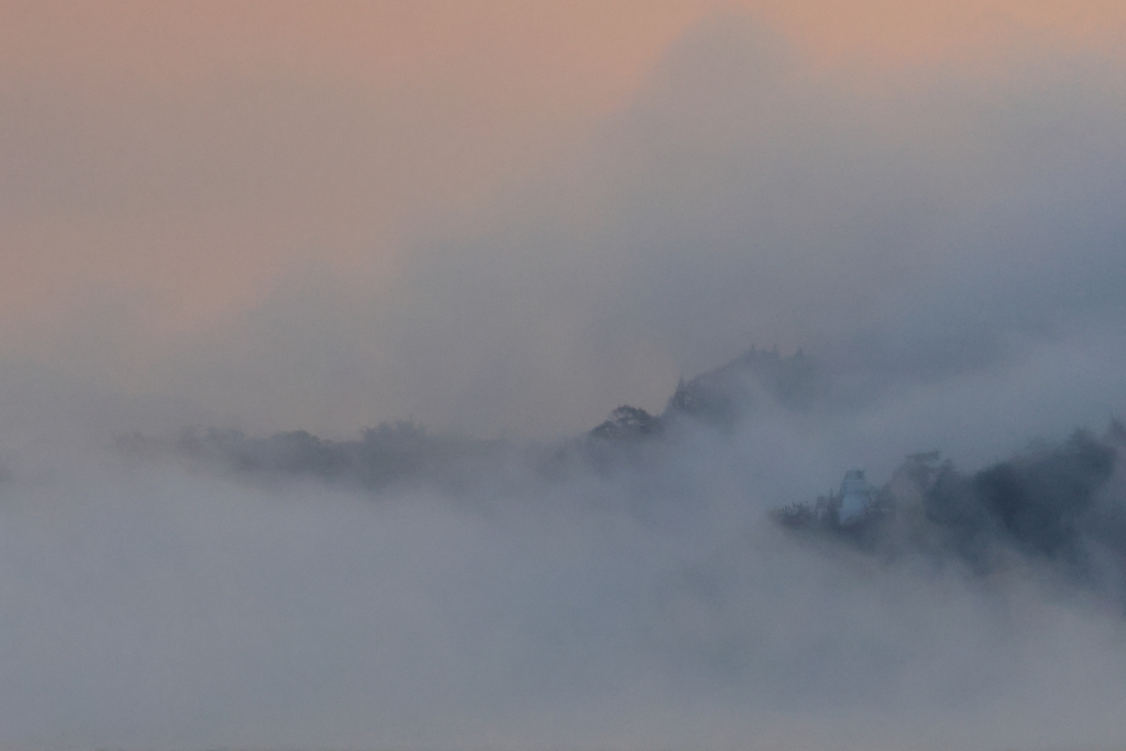 瀬戸内の朝 (2) 231122-415 