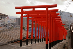 連立鳥居(3) 220113-0358