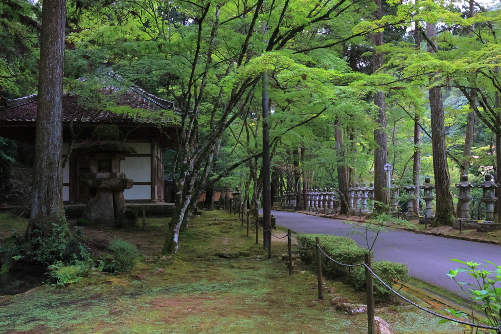 佛通寺 (1) 230912-894