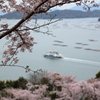桜の名所、正福寺(2)17.04.10