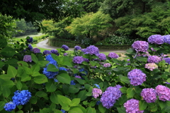 三景園 (5) 250625-432
