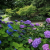 三景園 (5) 250625-432