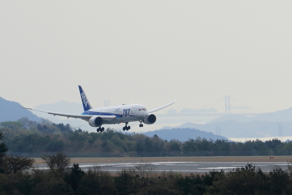 ANA landing 20180409-222