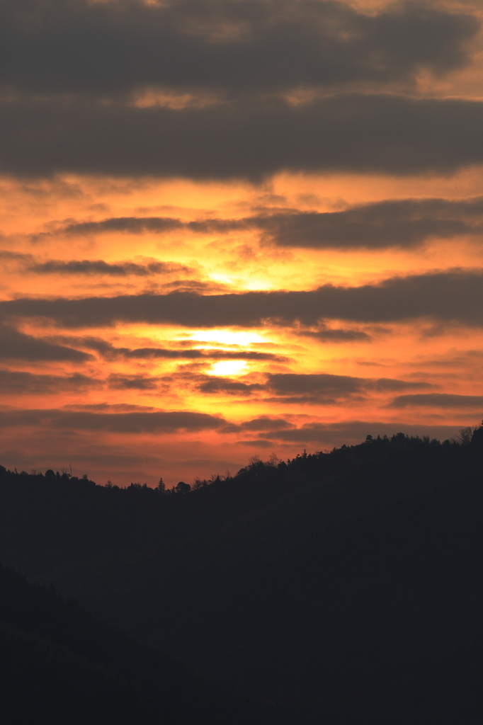 夜明け (2) 15.01.25