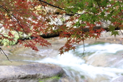 三郎の滝 (3) 251111-6098