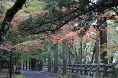 佛通寺(2) 171102-2