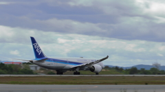 ANA landing 240516-430（流し撮り）