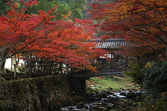 佛通寺(1) 16.11.18