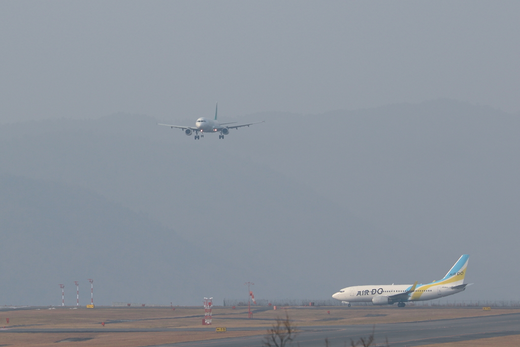 Landing (AIR SEOUL) 17.01.19