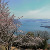 筆影山から(1)　220401-1075