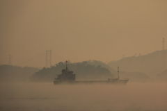 今朝の毛嵐(2) 201223-491