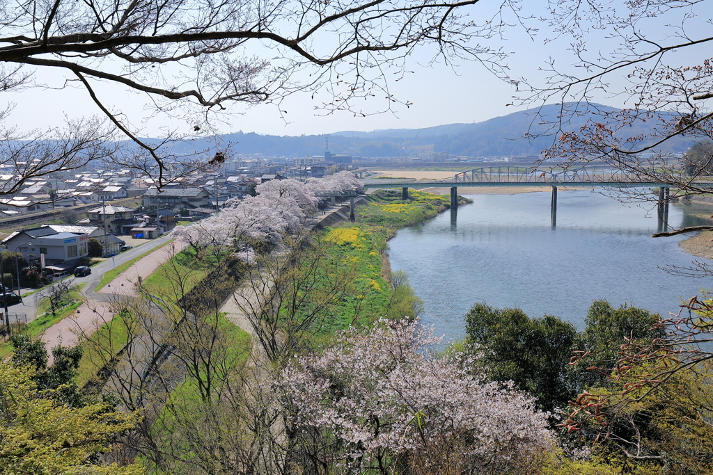 尾関山公園 (3) 200404-984