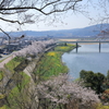 尾関山公園 (3) 200404-984