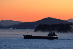 海霧の朝 251122-895.JPG