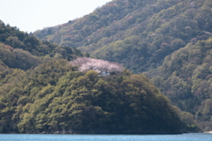 灯台のある島(1) 200406-274