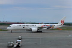 DREAM SHO JET (1) 250602-8095