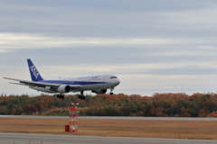 ANA 到着(1) 191127-940 191127