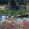 三景園(6) 17.02.27