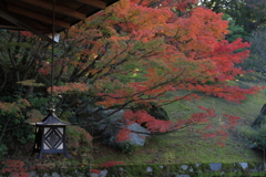 三景園 (5) 251114-162