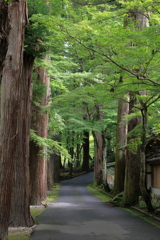 佛通寺 250924-792