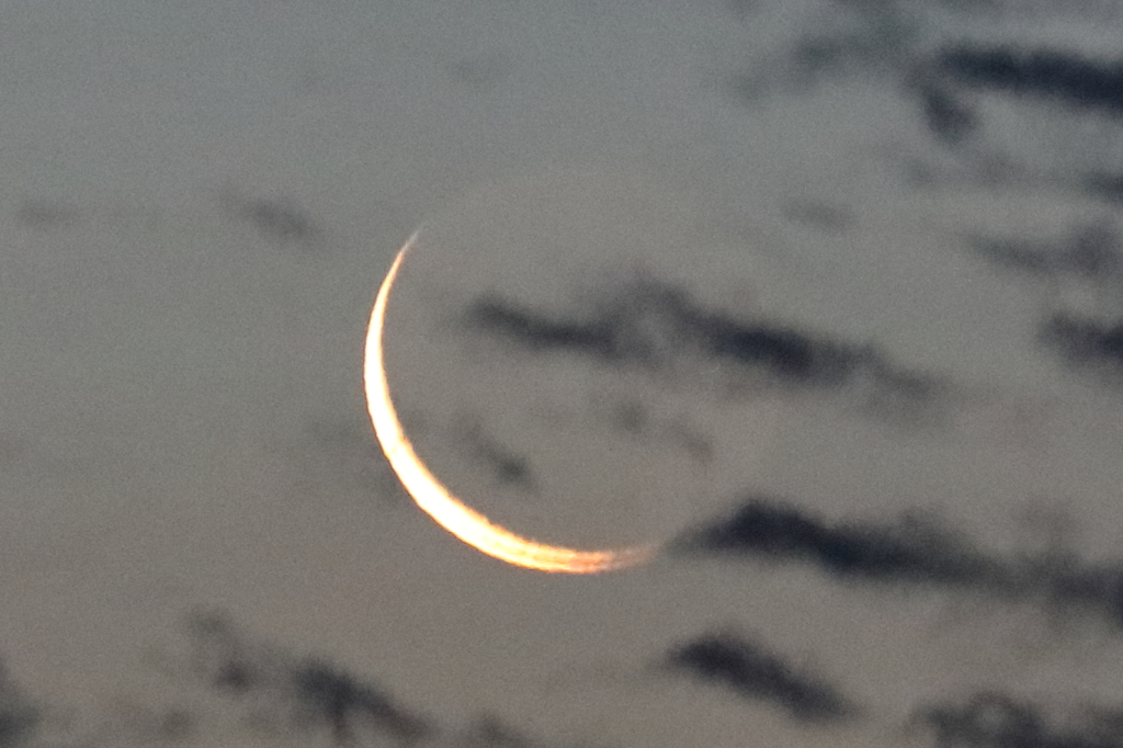 夜明けの月(1)  16.07.03