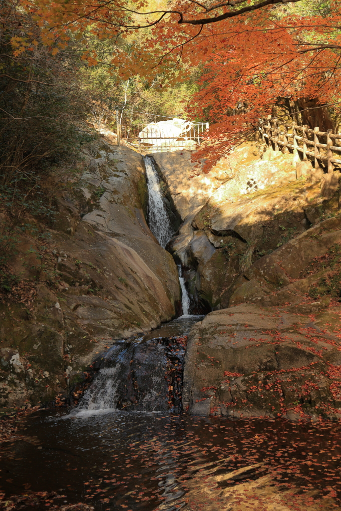 三郎の滝 (4) 211119-429