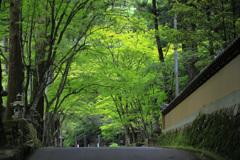 新緑の佛通寺(1) 210602-279