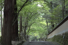 佛通寺(1) 181002-201