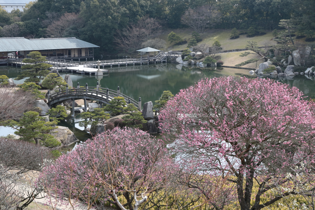 春待つ三景園(4) 190218-745