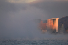 海霧の朝 (4) 251219-513